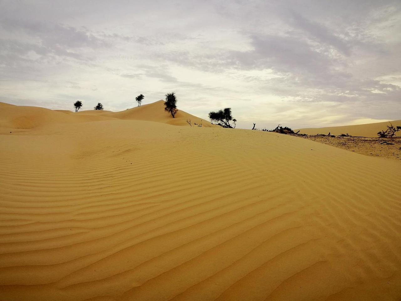Queen Desert Camp Fulayj al Masha'ikh Экстерьер фото